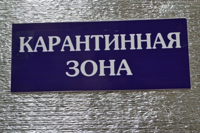 Тематическое фото ИА PrimaMedia