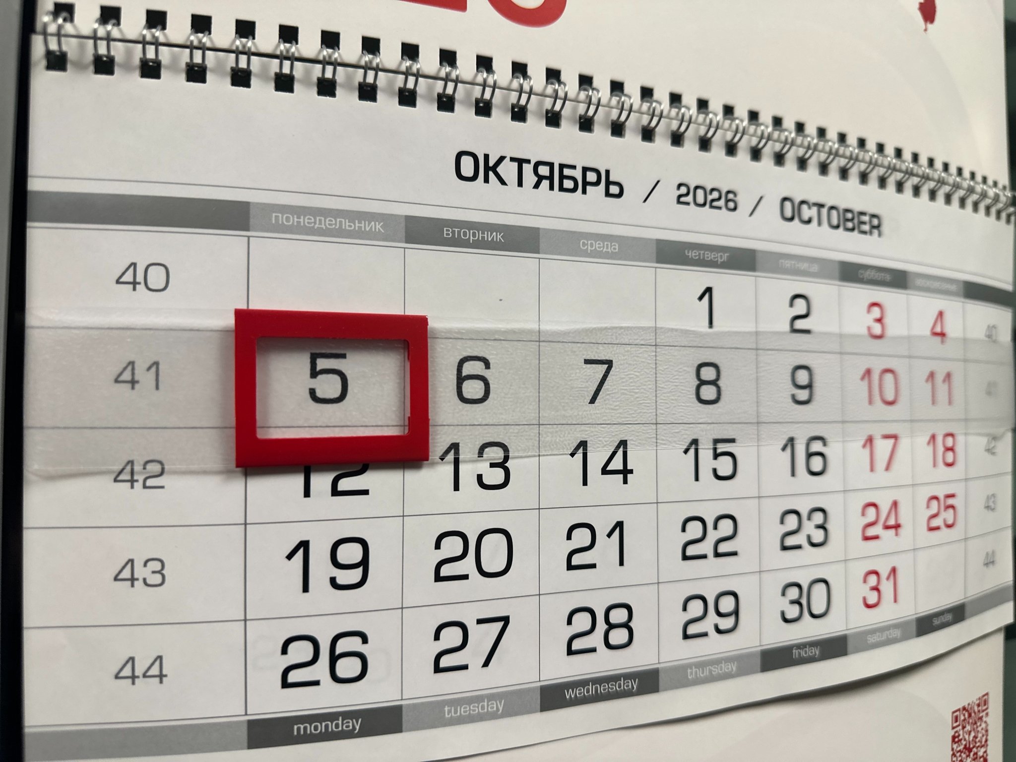 Что читали в Уссурийске 5 октября ИА UssurMedia