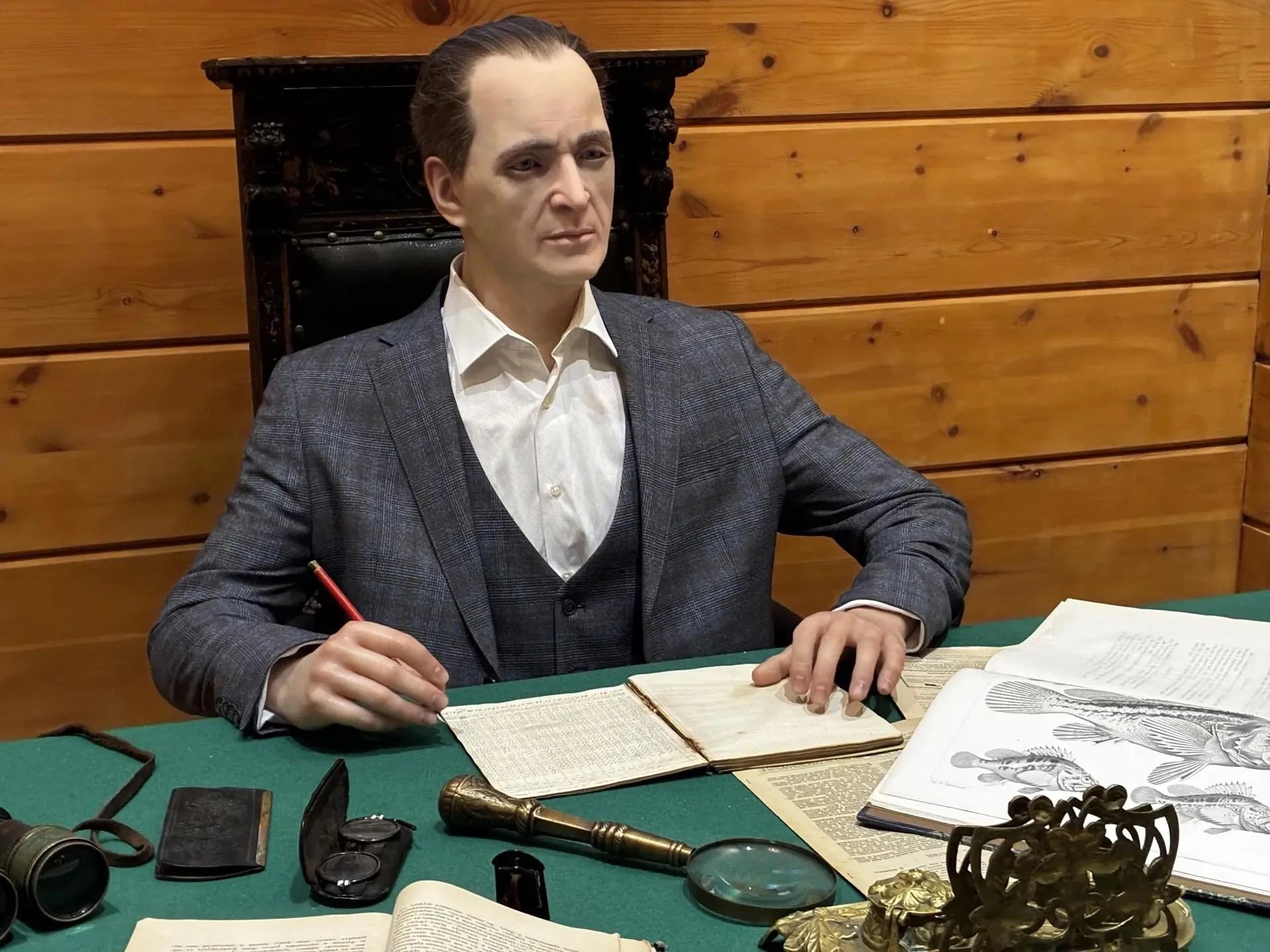 Новый экспонат в музее Центр &quotАмурский тигр&quot