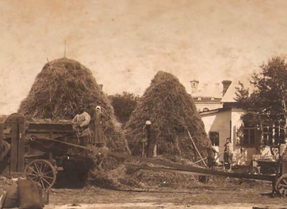 Фото дня